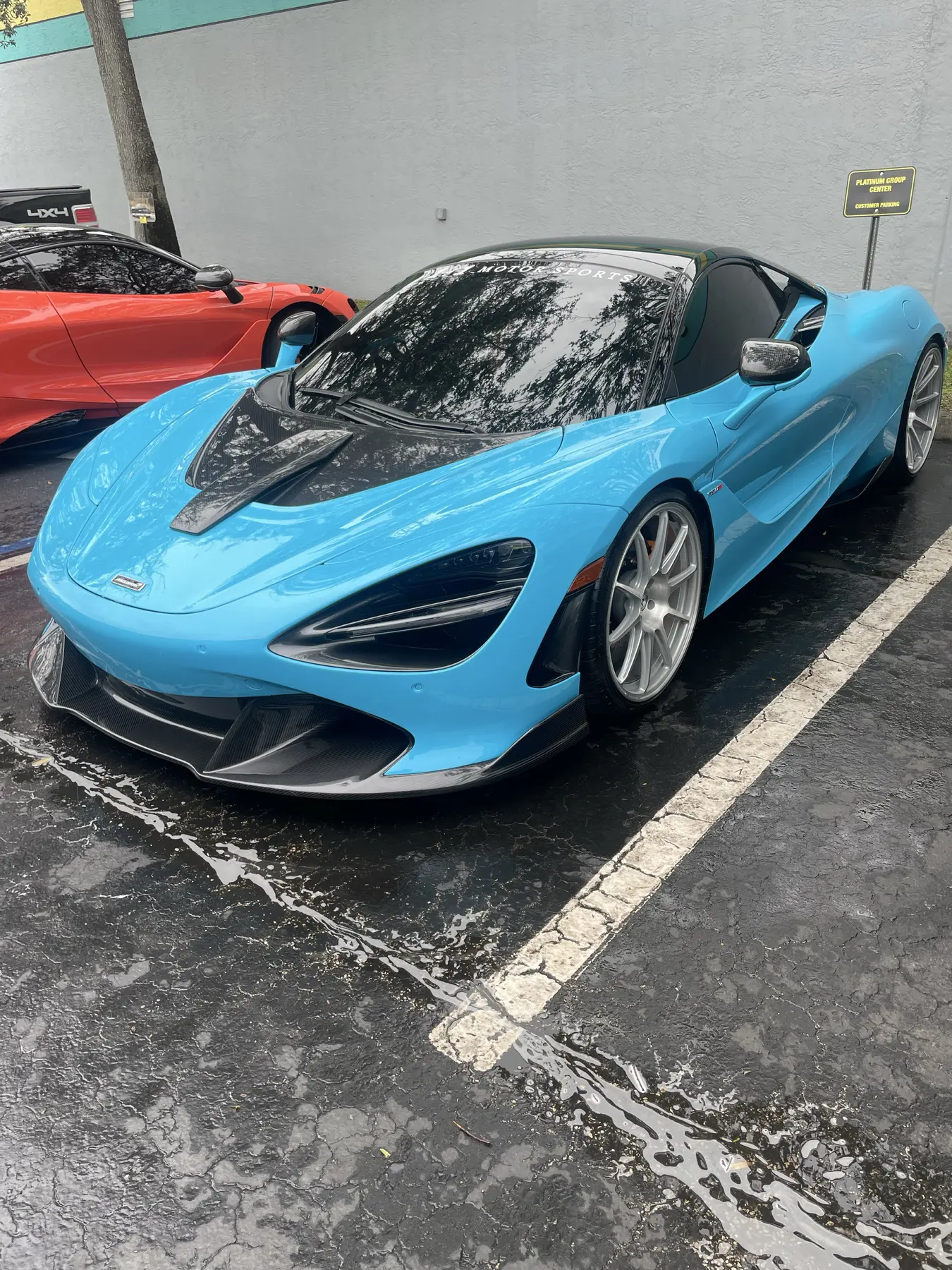 Professional detailing result