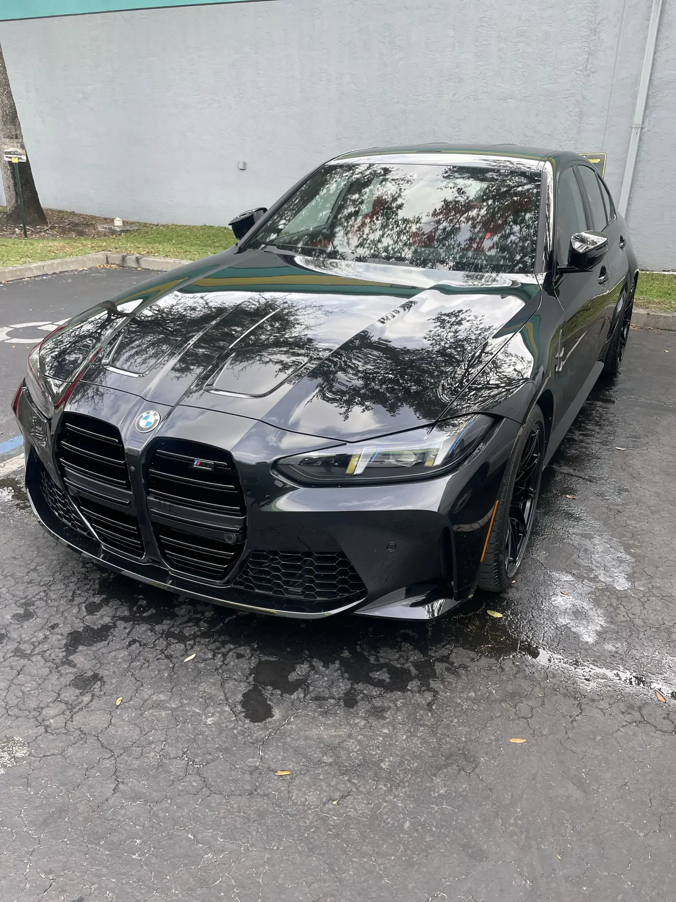 Detailed engine and vehicle finish
