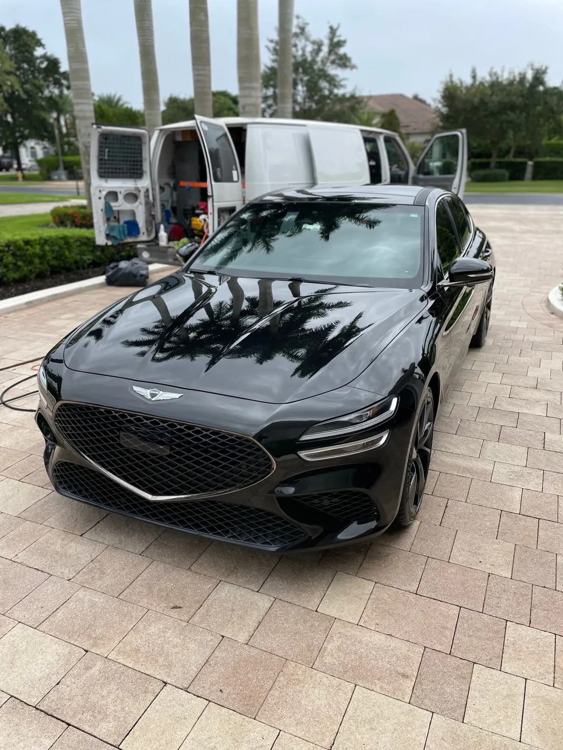Automotive window tint
