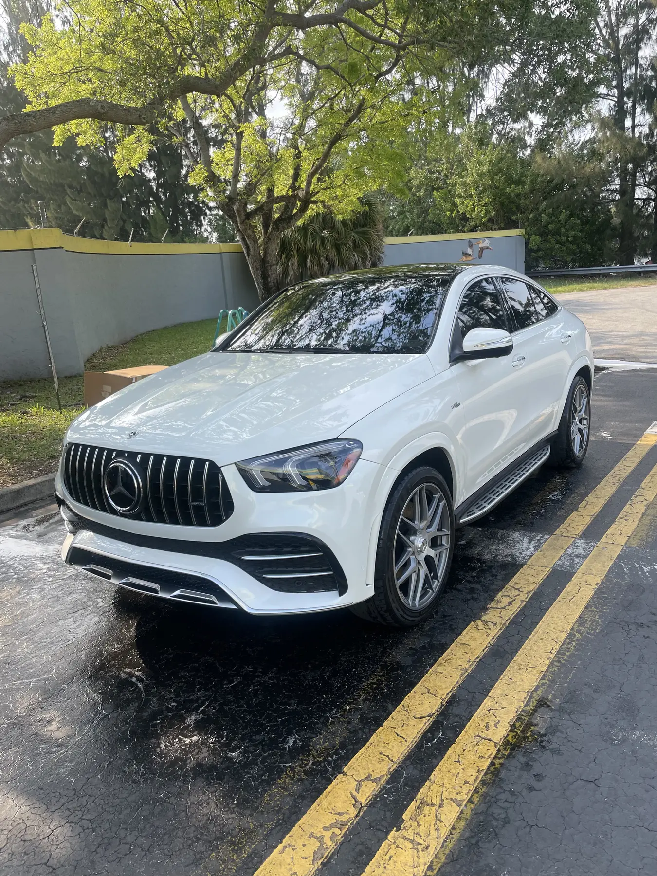 Residential and commercial tinting